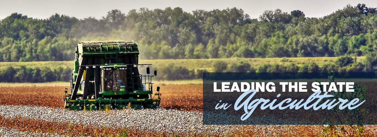 Home Page Slider #2 - Leading the State in Agriculture